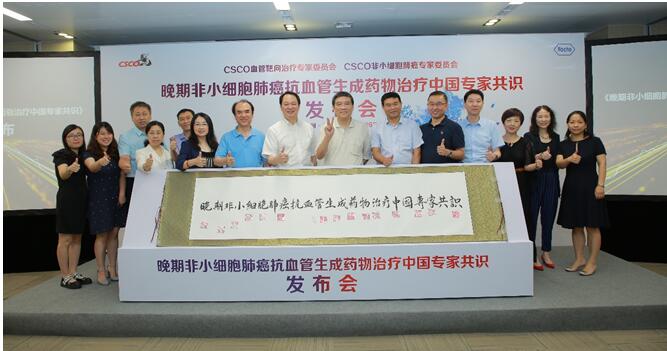 《晚期非小細(xì)胞肺癌抗血管生成藥物治療中國(guó)專家共識(shí)（2019版）》發(fā)布儀式