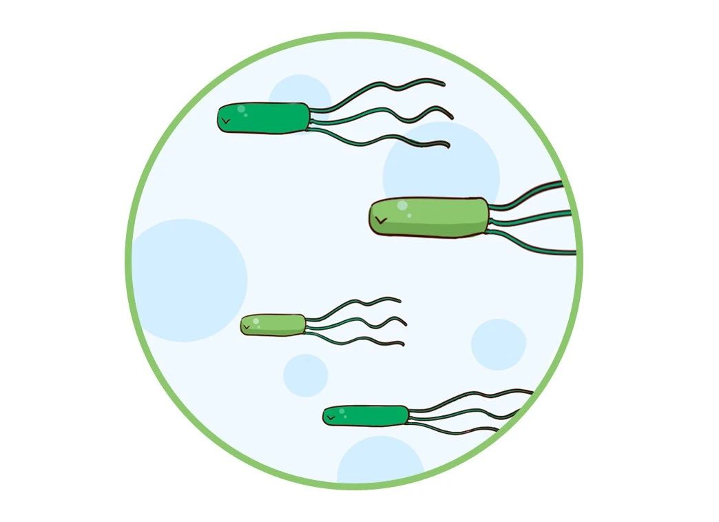這種致癌物傳染性極強(qiáng)，50%中國人都有！很多人還不知道