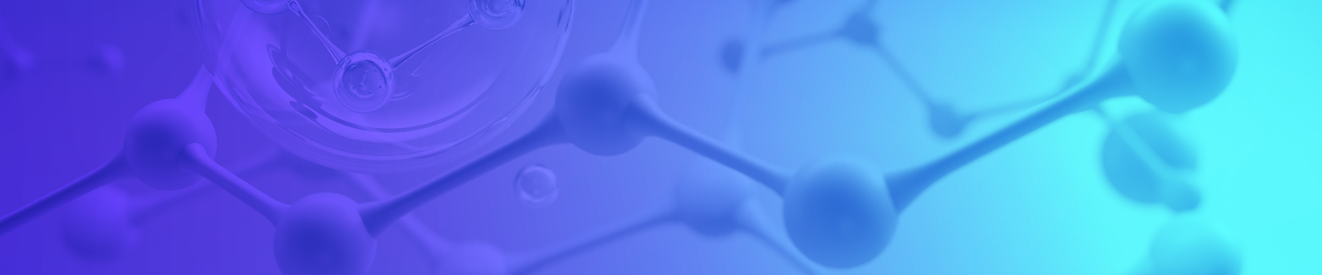 2025官網(wǎng)_欄目頁banner 17（輔助欄目）.jpg